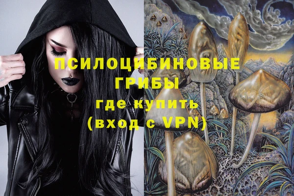 стафф Алексеевка